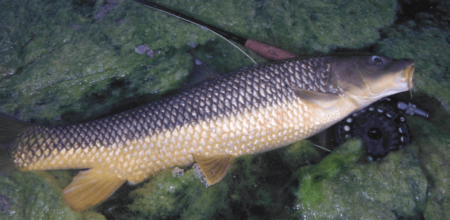 Screen Shot 2017-05-26 at 23.07.32