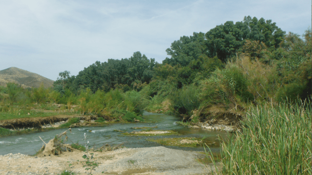 Screen Shot 2017-05-27 at 20.11.22