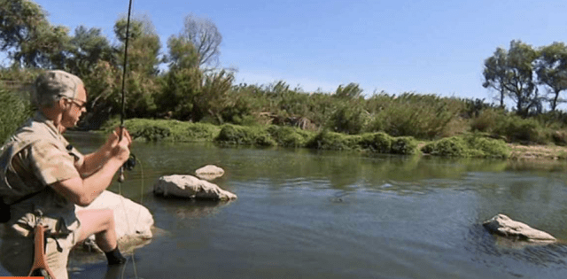 Screen Shot 2017-11-19 at 08.28.33