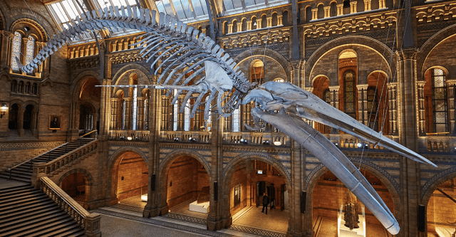 Screen Shot 2018-01-04 at 22.12.19