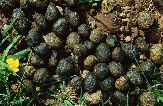 Screen Shot 2018-01-24 at 19.30.20