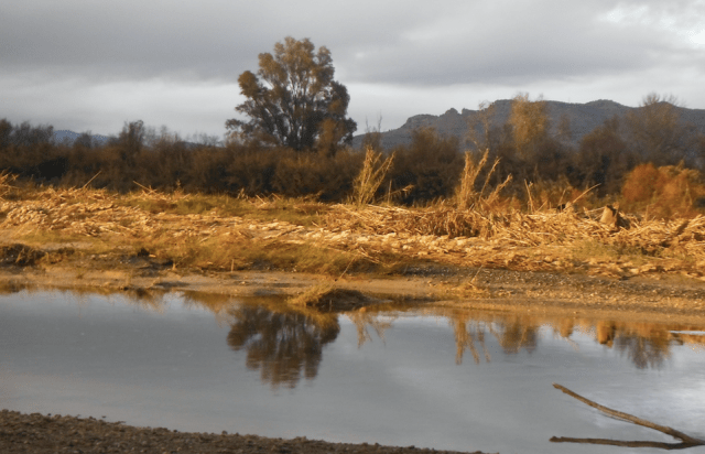 screen shot 2019-01-20 at 20.29.01