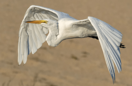 screen shot 2019-01-28 at 18.42.39