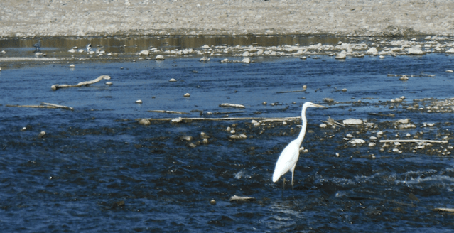 screen shot 2019-01-28 at 20.58.37