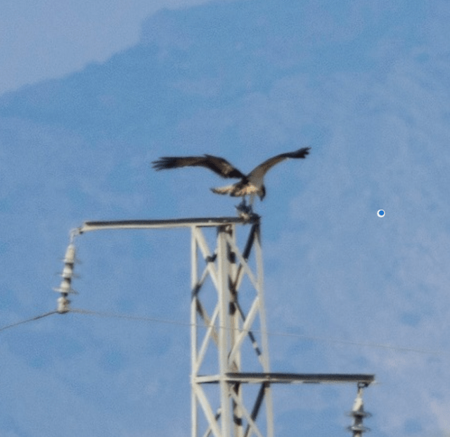 Screen Shot 2019-02-17 at 20.54.32