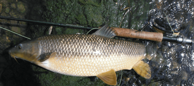 Screen Shot 2019-03-24 at 07.57.39