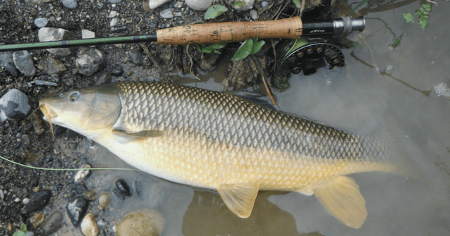 Screen Shot 2019-04-07 at 21.31.57