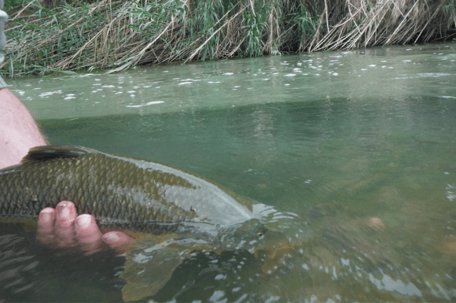 Screen Shot 2019-04-07 at 21.35.07