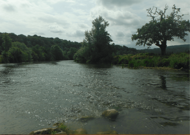 Screen Shot 2019-07-25 at 17.48.22