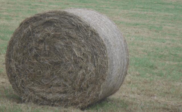 Screen Shot 2019-07-25 at 17.49.07