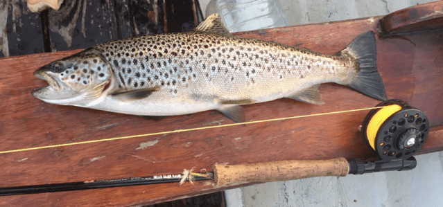 Screen Shot 2019-07-27 at 16.37.27