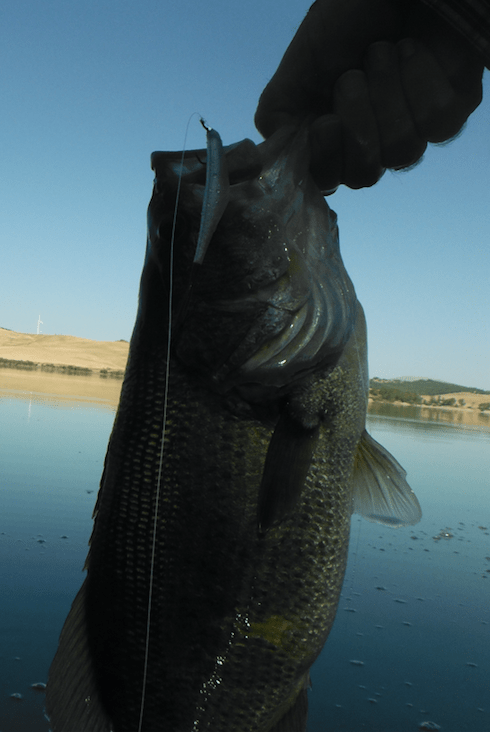 Screen Shot 2019-08-18 at 16.11.33