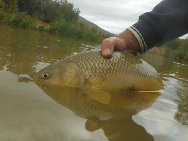 Screen Shot 2019-11-22 at 13.15.05