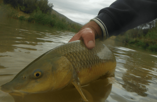 Screen Shot 2019-11-22 at 13.15.39