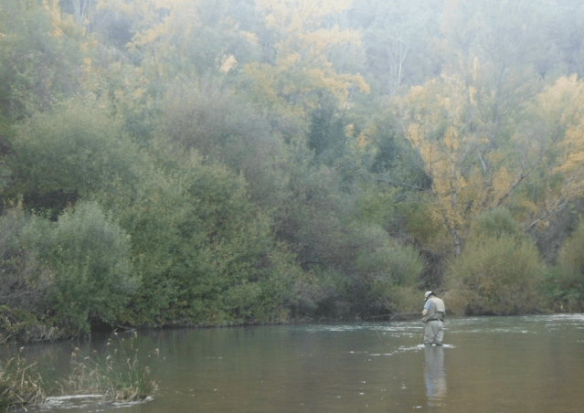 Screen Shot 2019-12-02 at 20.05.58