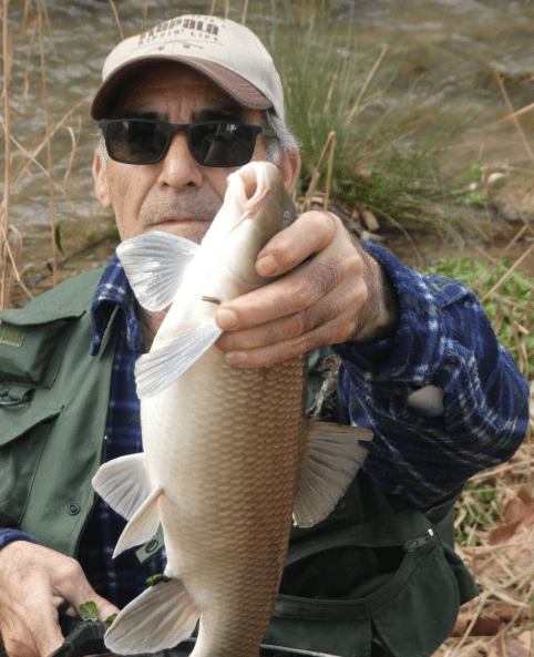 Screen Shot 2020-03-05 at 13.03.25