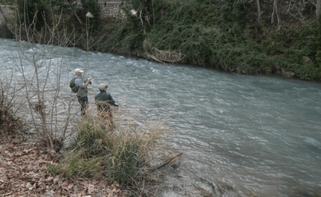 Screen Shot 2020-03-08 at 21.59.18