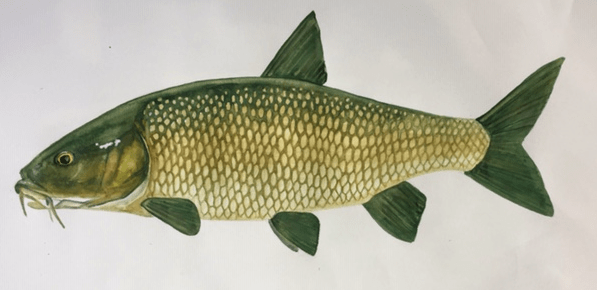 Screen Shot 2020-04-17 at 18.26.49