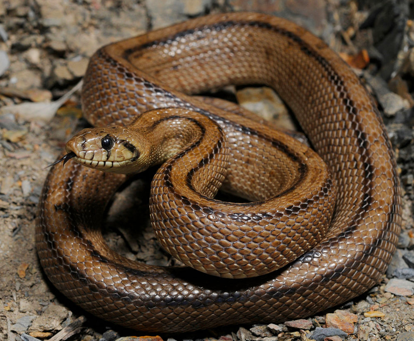 Screen Shot 2020-05-28 at 16.50.45