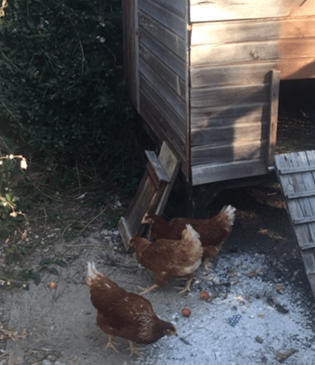 Screen Shot 2020-06-13 at 18.24.28