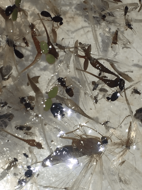 Screen Shot 2020-06-14 at 14.44.55