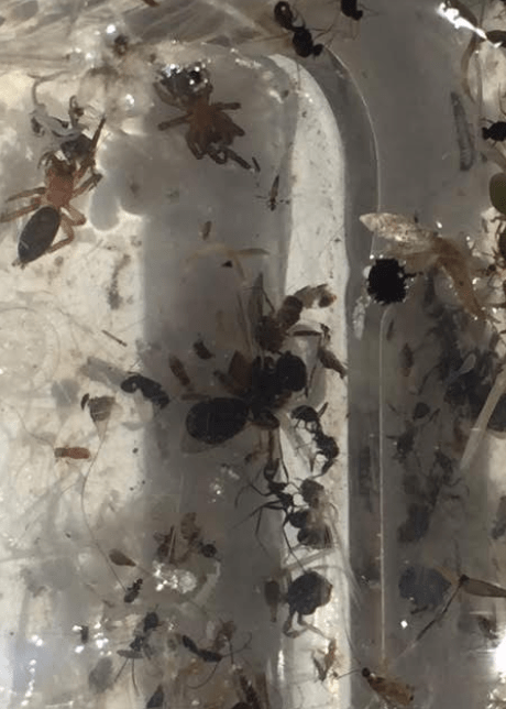 Screen Shot 2020-06-14 at 14.45.35