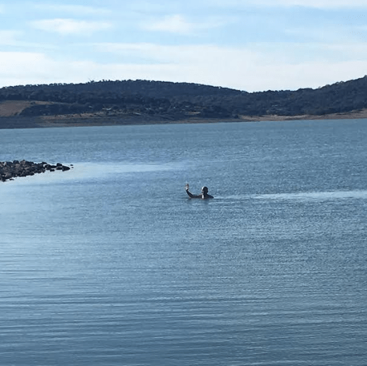 Screen Shot 2020-07-02 at 11.00.22