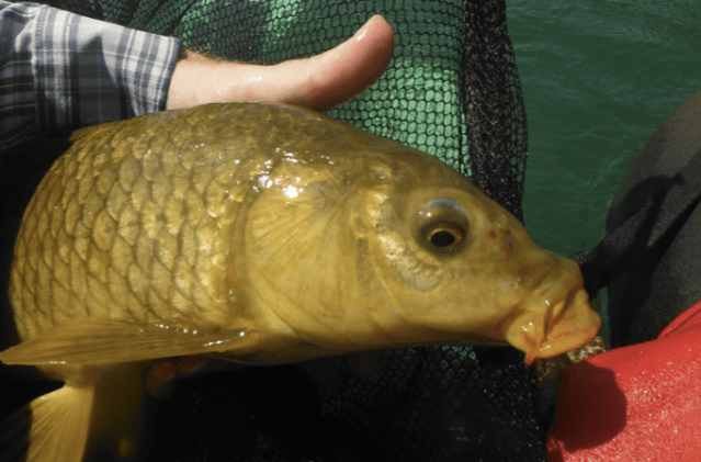 Screen Shot 2020-07-18 at 18.53.09