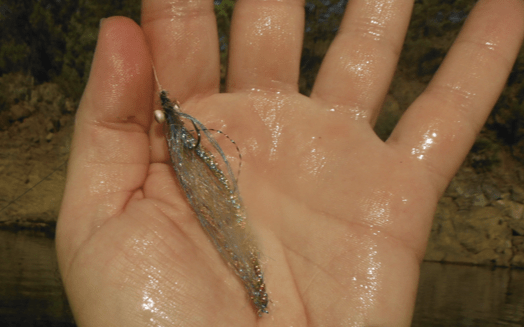 Screen Shot 2020-07-18 at 18.53.39