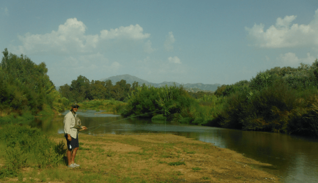 Screen Shot 2020-07-22 at 13.24.38