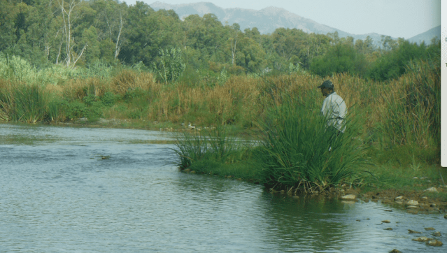 Screen Shot 2020-07-22 at 13.25.20