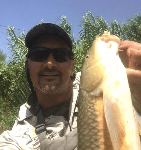 Screen Shot 2020-07-22 at 14.33.47