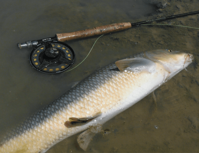 Screen Shot 2020-07-24 at 11.58.00