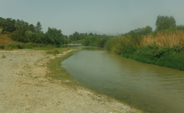 Screen Shot 2020-08-02 at 14.03.26