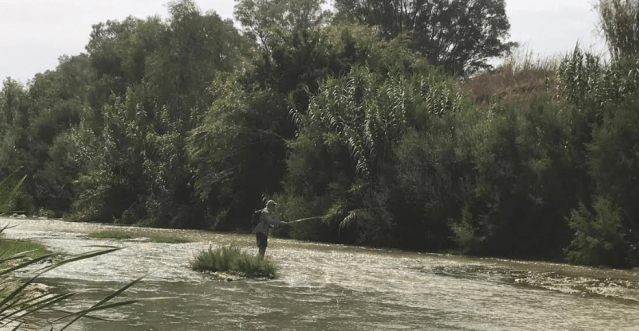 Screen Shot 2020-08-02 at 14.51.07